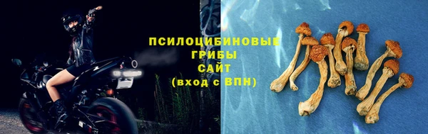 ешки Белокуриха