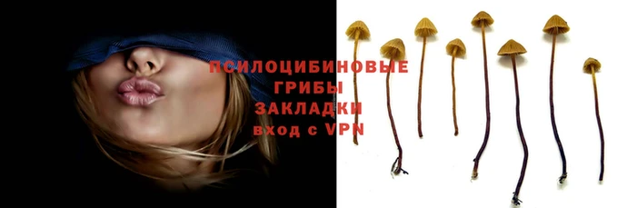 прущая мука Беломорск