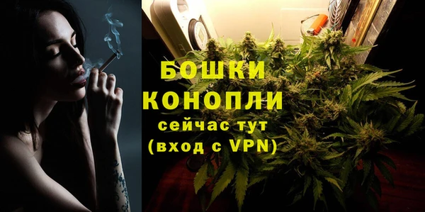 ешки Белокуриха