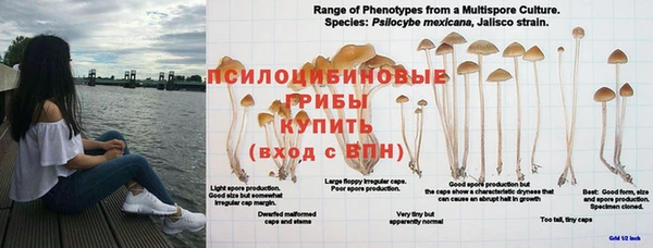 прущая мука Беломорск