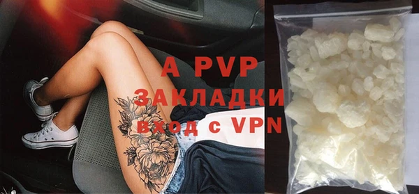 ешки Белокуриха